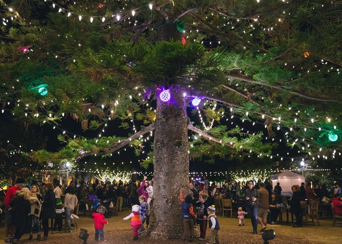 Liberty Station’s Tree Lighting & Festivities The Official Travel