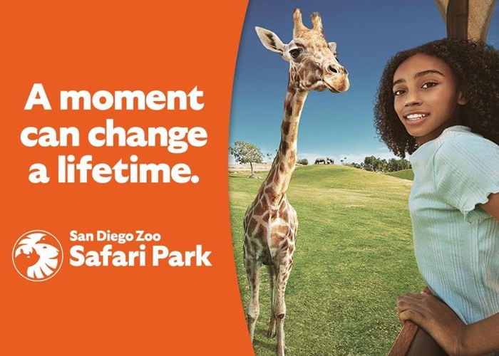 San Diego Zoo Safari Park - The Official Travel Resource for the San Diego  Region