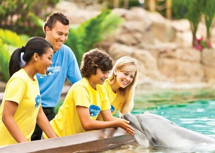 SeaWorld San Diego Camps The Official Travel Resource for the San
