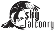 Sky Falconry Logo 