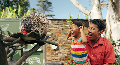 Family looking at a porcupine during a Spring Break at the San Diego Zoo in San Diego