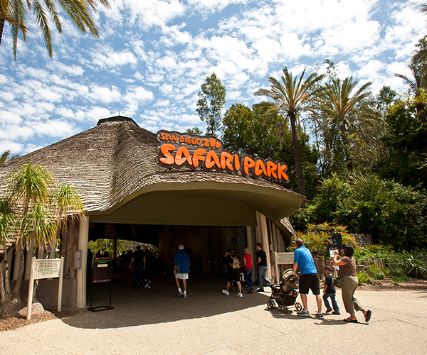 San Diego Safari Park 600x500