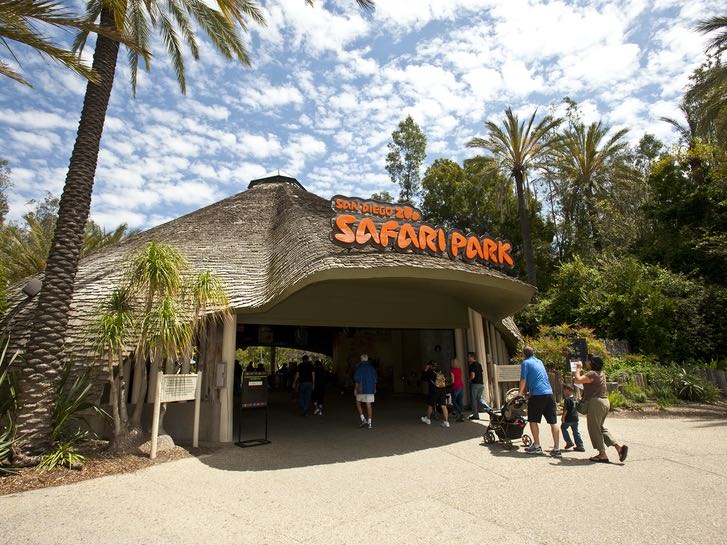 San Diego Zoo Safari Park Entrance