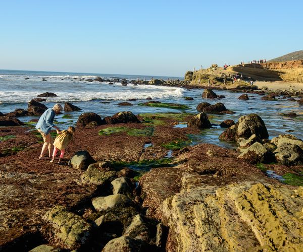 Sunny 7 Ways to Make a Splash in San Diego Tidepools