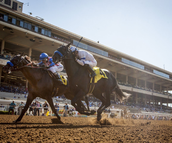 Horse racing at the Del Mar Thoroughbred Club.