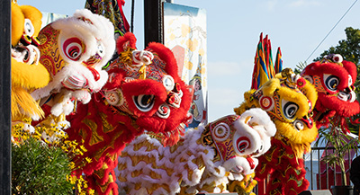 Lunar New Year Festival Lion Dance