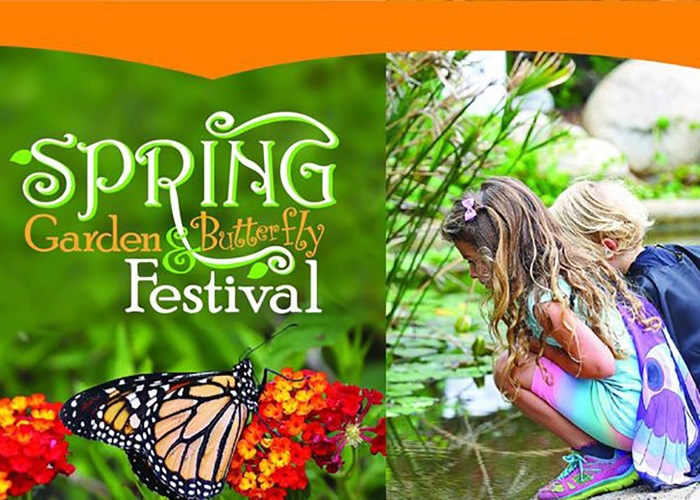 Spring Garden Butterfly Festival At Cuyamaca College