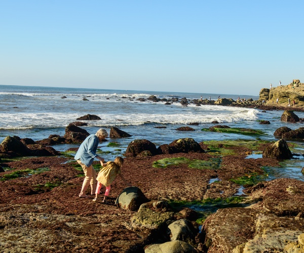 Grandma and Grand Daughter exploring the tidepools of Cabrillo National Monument in Point Loma San Diego