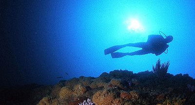 Scuba Diver under water
