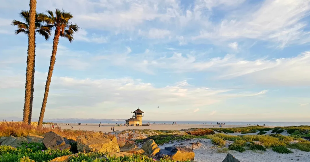 Coronado Beach and La Jolla Cove rank among the Top 10 beaches in the nation on prestigious Tripadvisor list