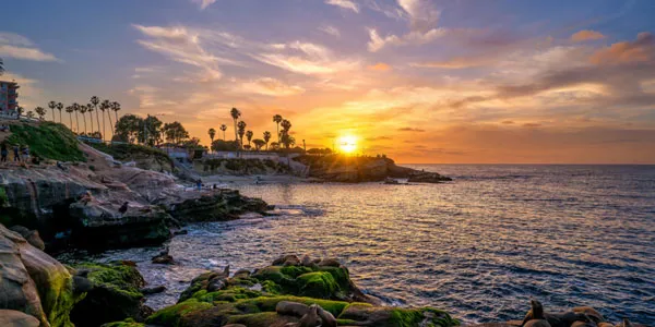 cove-600-1.jpg