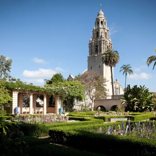 California Tower in Balboa Park located in San Diego, CA