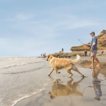 Man and his dog playing fetch at Del Mar Dog Beach in San Diego County