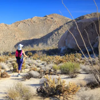 A hiker with walking sticks approaches mountains in Anza Borrego Desert State Park near Borrego Springs in San Diego County.