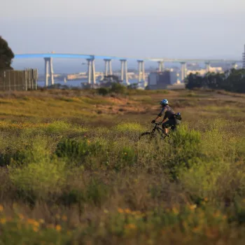 A person wearing a blue helmet rides a bicycle through a grassy field in San Diego's Florida Canyon with a cityscape and the blue San Diego-Coronado bridge in the background.