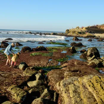 An adult and a young child looking at the Tidepools in at Sunset Cliffs in Point Loma, San Diego Ca.