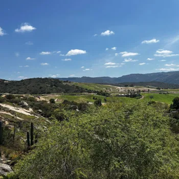 Hilly landscape with green fields, scattered trees, cacti, and distant mountains under a blue sky with clouds.