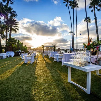Outdoor event setup on a grassy lawn with tables, chairs, and a refreshment station, under tall palm trees at sunset.