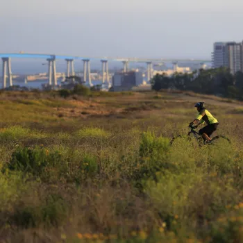 A person in a yellow shirt rides a bicycle through grassy terrain with a cityscape and a blue bridge visible in the background.