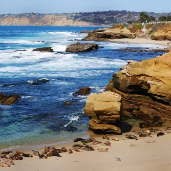 Rocky shoreline with waves crashing, sea lions resting on the sandy beach, and cliffs in the background under a clear sky.