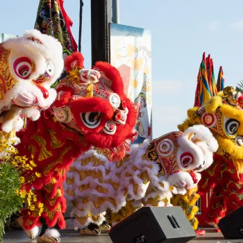 Performers in colorful lion costumes participate in a traditional lion dance on an outdoor stage, with decorations and plants nearby.