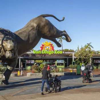Visitors approach the entrance of the San Diego Zoo, featuring a large leaping lion statue and the zoo's colorful logo sign overhead.