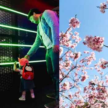 Various locations and activities in San Diego's beautiful Balboa Park are depicted, including images of museums and of a father exploring an exhibit with his young child.