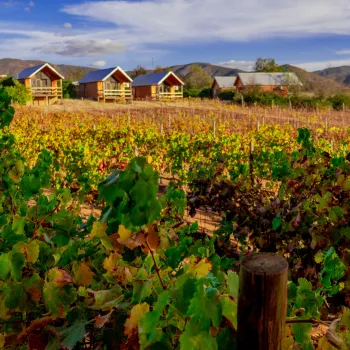 Cabins overlooking a vineyard in Valle de Guadalupe in Mexico