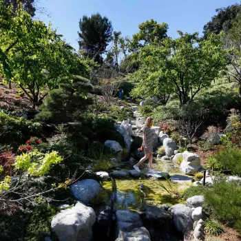 Balboa_Park_Japanese_Friendship_Garden_230