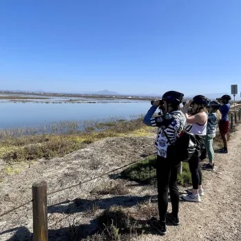 Group of people with binoculars looking at a wetlands preserve in San Diego's South Bay while on a bicycle tour