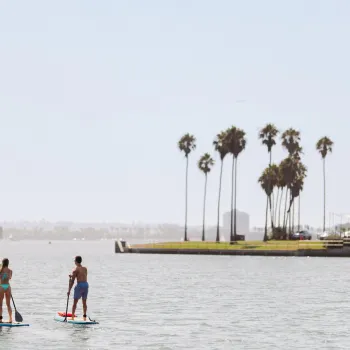 Two people paddleboarding on the calm waters of Mission Bay in San Diego, with palm trees in the background.