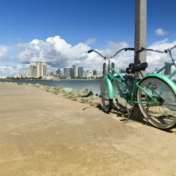 Two teal bicycles leaning against a pole by the San Diego Bay waterfront with the city skyline in the background.