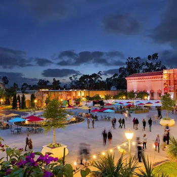 Museums After Dark: 10 Ways to Explore San Diego’s Coolest Culture at Night