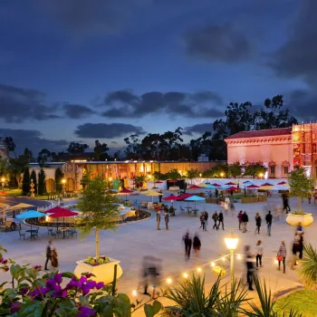 Museums After Dark: 10 Ways to Explore San Diego’s Coolest Culture at Night