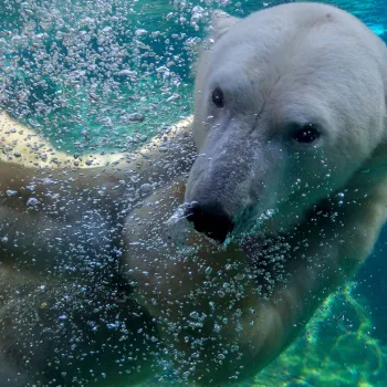 Save Big with San Diego Passes & Discount Tickets