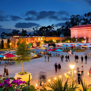 Disability Accessible Travel in San Diego