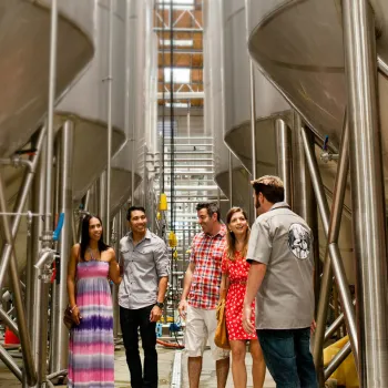 Food & Drink Tours