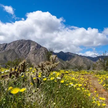 Historic County Route S2