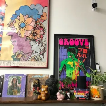 A shelf with vinyl records, books, small plants, and figurines beneath two colorful posters, one featuring a floral portrait and the other with bold "Groove" text and a green figure.