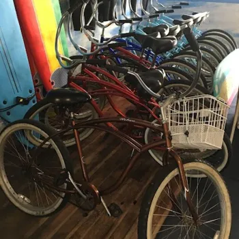 Several cruiser bicycles with baskets are lined up indoors next to colorful surfboards and wetsuits, on a wooden floor.