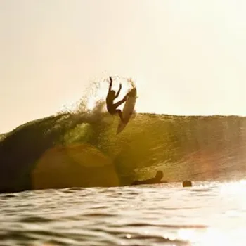 A surfer is falling off their board while riding a wave, with two other people in the water nearby and sunlight shining across the scene.