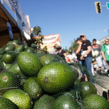 A pile of avocados in mesh bags is displayed at an outdoor market, with people walking and standing in the background on a sunny day.