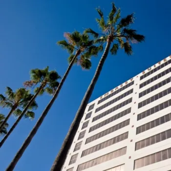 Tall white modern hotel building with rows of windows, viewed from below, with several palm trees in front and a clear blue sky above.
