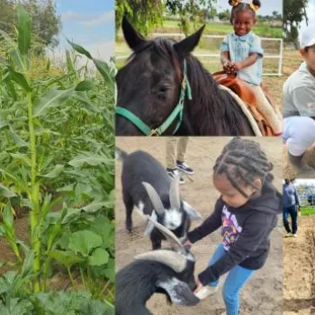 A collage shows children interacting with farm animals, gardening, and a field of corn and crops.