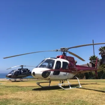 Two helicopters are parked on a grassy area near the ocean, with clear blue skies and palm trees in the background.