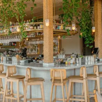A modern bar with wooden stools, greenery hanging from the ceiling, decorative wall art, and shelves stocked with bottles and glassware.