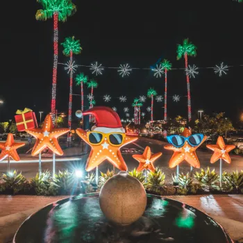 Festive starfish decorations with sunglasses and a Santa hat are displayed in front of a fountain, surrounded by palm trees wrapped in holiday lights at night.