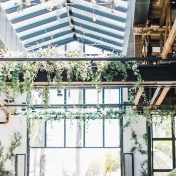 Spacious indoor area with exposed wooden beams, skylights, hanging plants, ceiling fans, and large windows letting in natural light.