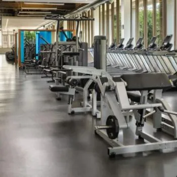 A modern gym with various exercise machines and cardio equipment arranged in rows, large windows along one wall, and a clean, spacious interior.