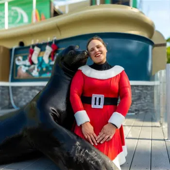 A woman in a Santa dress stands on a dock, smiling as a sea lion leans against her. Holiday stockings hang in the background.